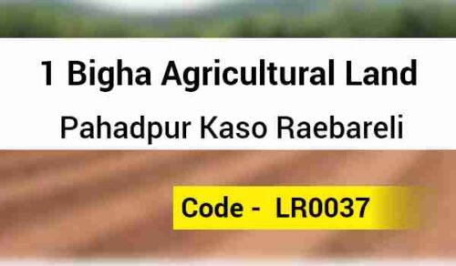 1 Bigha Agricultural Land Pahadpur Kaso Raebareli