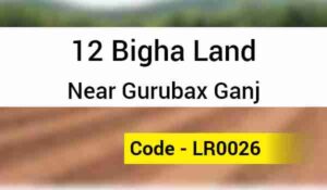 12 Bigha Land Near Gurubax Ganj