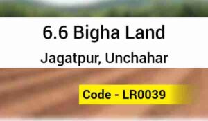 6.6 Bigha Land Jagatpur, Unchahar