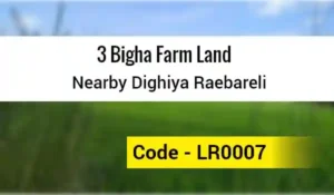 3 Bigha Farm Land Nearby Dighiya Raebareli