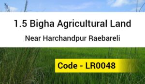 1.5 Bigha Agricultural Land Near Harchandpur Raebareli