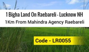1 bigha land 1km from Mahindra agency Raebareli