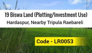 19 Biswa Land (Plotting/Investment Use) Hardaspur, Nearby Tripula Raebareli
