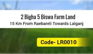 2 Bigha 5 Biswa Farm Land 15 Km From Raebareli Towards Lalganj