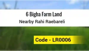 6 Bigha Farm Land Nearby Rahi Raebareli