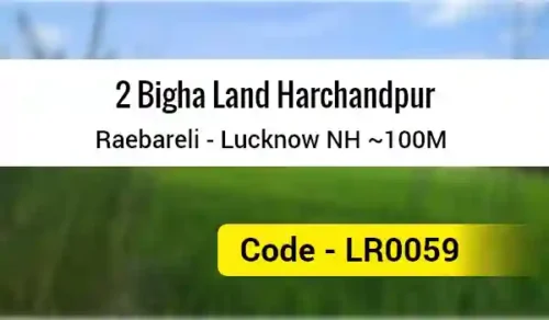2 Bigha Land Harchandpur
