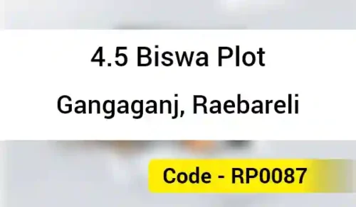 4.5 Biswa Plot Gangaganj, Raebareli