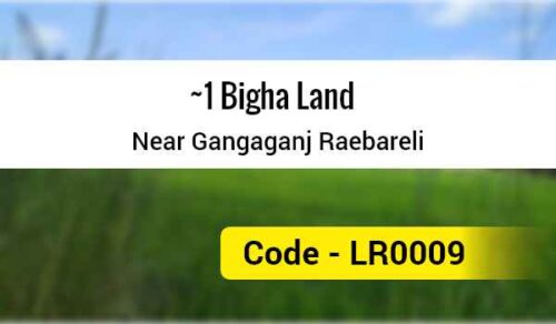 1 Bigha Land Near Gangaganj Raebareli