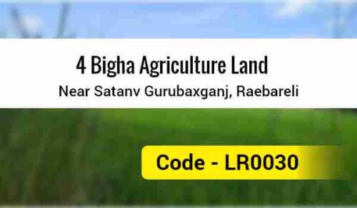 4 Bigha Agriculture Land Near Satanv Gurubaxganj, Raebareli