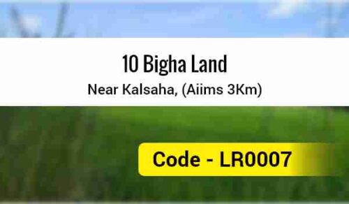 10 Bigha Land Near Kalsaha, Aiims 3Km