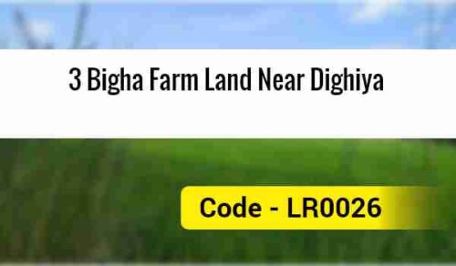 3 Bigha Farm Land Near Dighiya