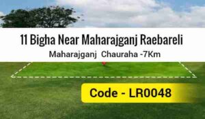 11 Bigha Near Maharajganj Raebareli