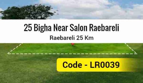 25 Bigha Near Salon Raebareli