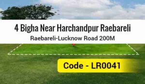 4 Bigha Near Harchandpur Raebareli