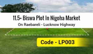 11.5+ Biswa Plot In Nigoha Market On Raebareli - Lucknow Highway