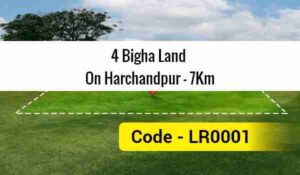 4 Bigha Land On Harchandpur - 7Km