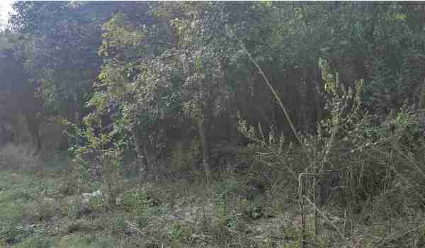 14 Biswa land On Lucknow Raebareli Highway 3 14 Biswa land On Lucknow Raebareli Highway - Image 3