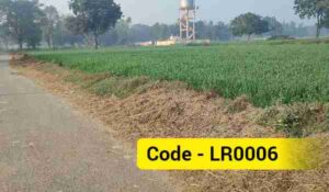 3.5 Bigha Near Gangaganj State Highway