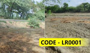 3 Bigha Agriculture Land Harchandpur 2km
