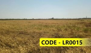 Home 7 3.5 Bigha Agriculture Land Near Bachhrawan Raebareli
